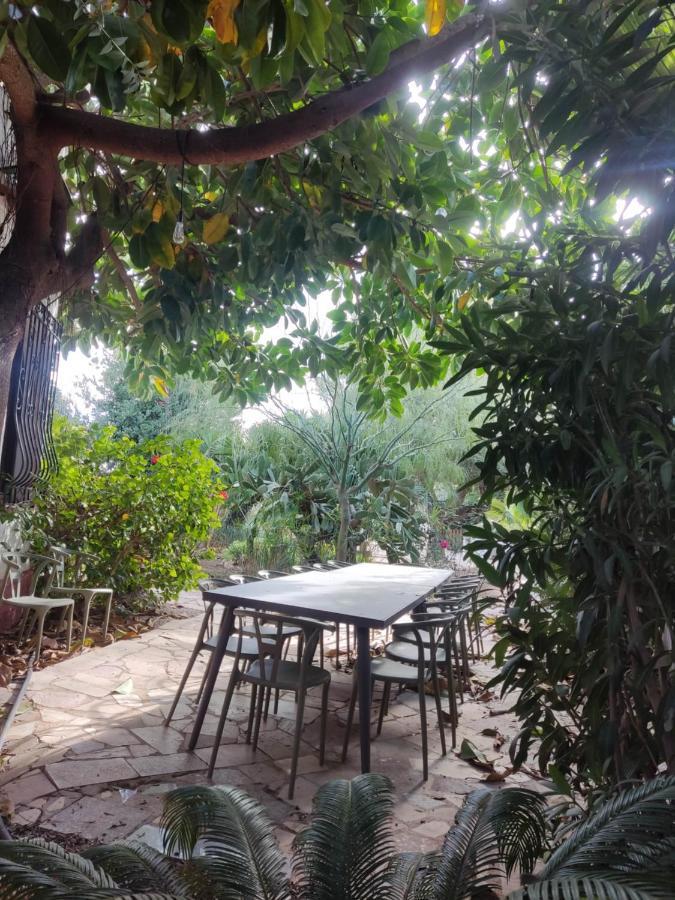 Villa Carlos Vinarós エクステリア 写真